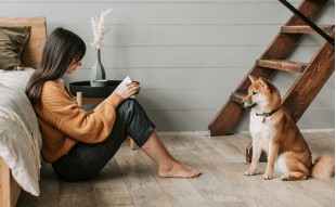 Duży Pies w Mieszkaniu