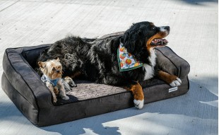 Legowisko Dla Dużego Psa